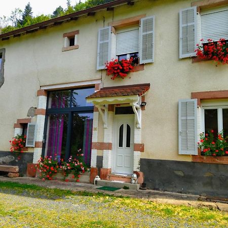 Le Logis Aux Digitales La Croix-aux-Mines Exterior foto