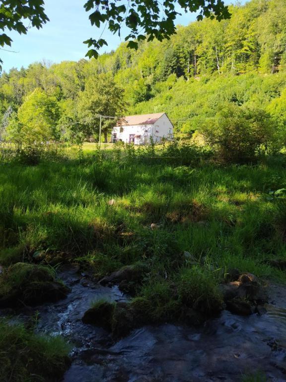 Le Logis Aux Digitales La Croix-aux-Mines Exterior foto