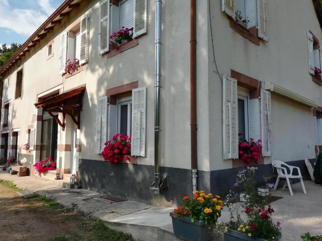 Le Logis Aux Digitales La Croix-aux-Mines Exterior foto