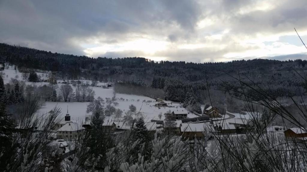 Le Logis Aux Digitales La Croix-aux-Mines Exterior foto