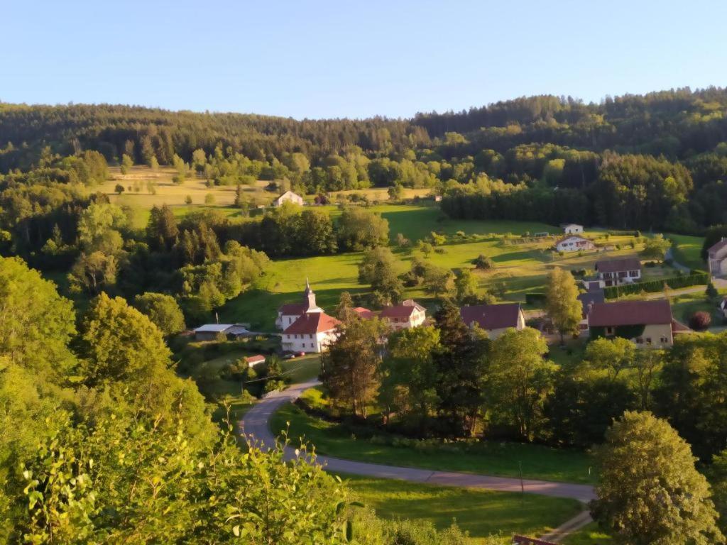 Le Logis Aux Digitales La Croix-aux-Mines Exterior foto