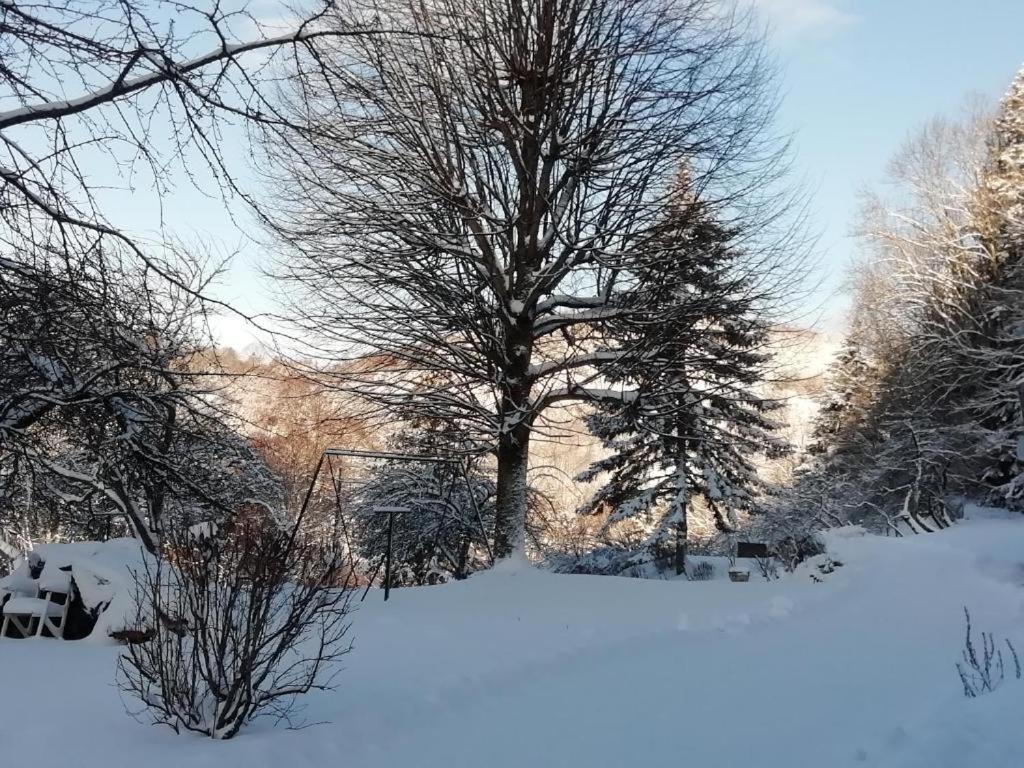 Le Logis Aux Digitales La Croix-aux-Mines Exterior foto