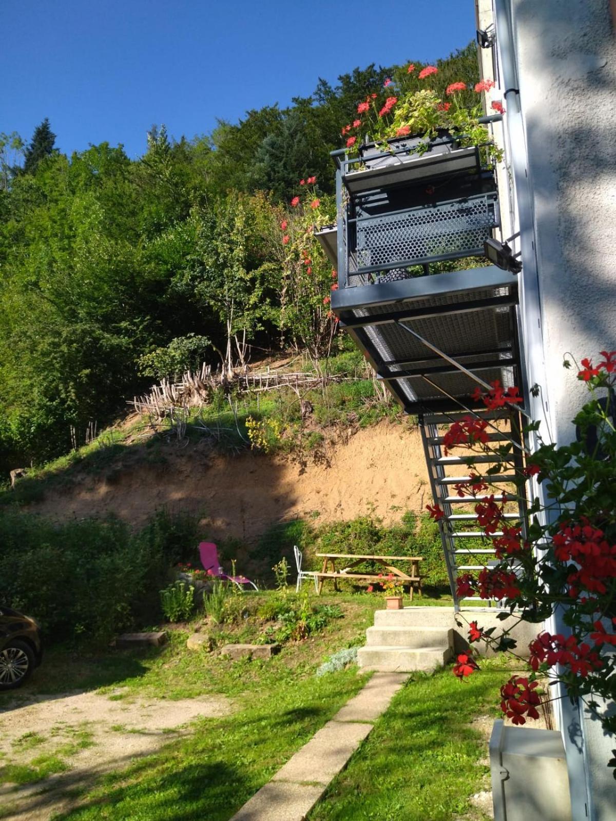 Le Logis Aux Digitales La Croix-aux-Mines Exterior foto